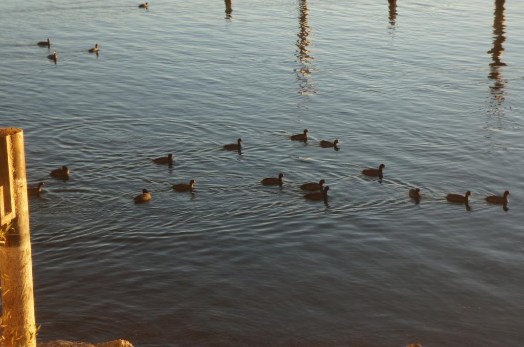 Lake Marina Inn Clearlake Oaks Екстериор снимка
